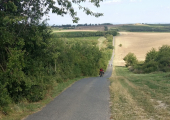 IMG_20170728_165653