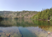 IMG_20190726_110545