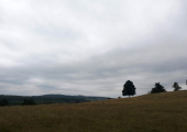 IMG_20190728_102931