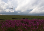 IMG_20200726_165428
